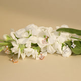 Lilivere Cubic Earrings