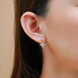 Lilivere Cubic Earrings
