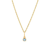 Birthstone Pendant Necklace.