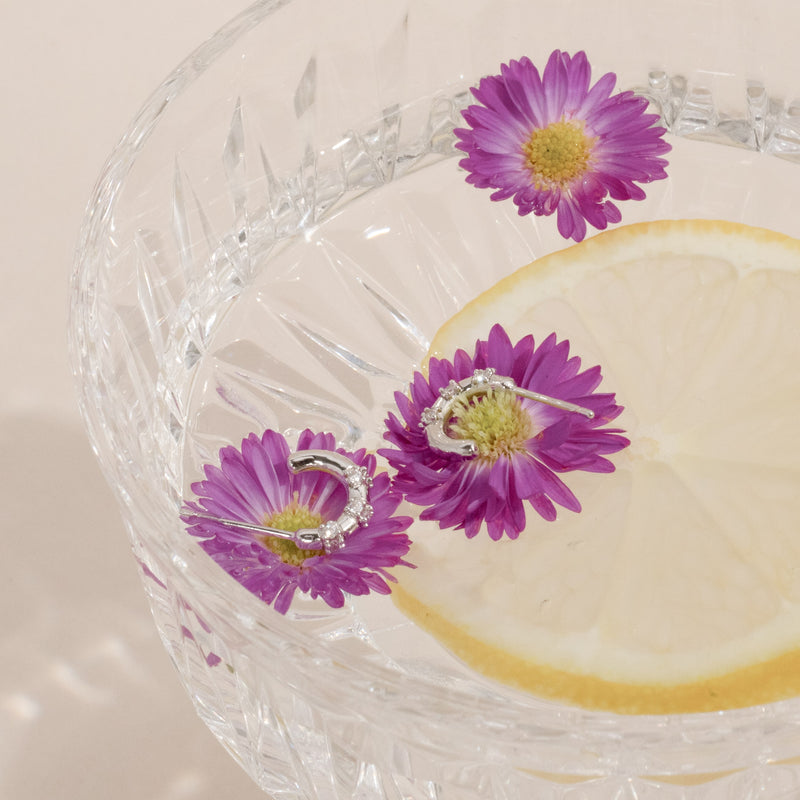 Brett Cubic Earrings.