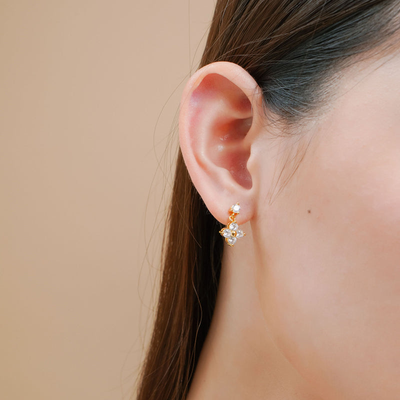 Lilivere Cubic Earrings