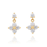Lilivere Cubic Earrings